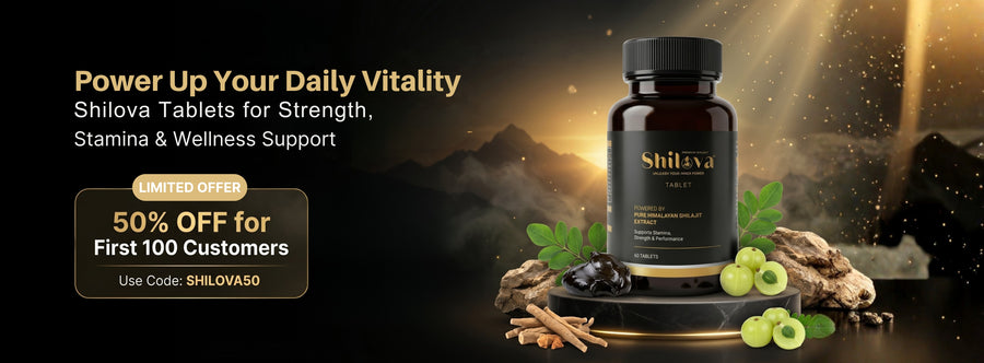 Shilova Offer