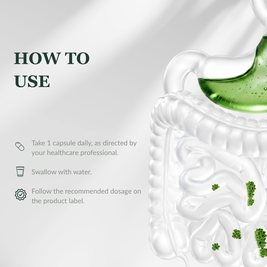 Gut Health Support