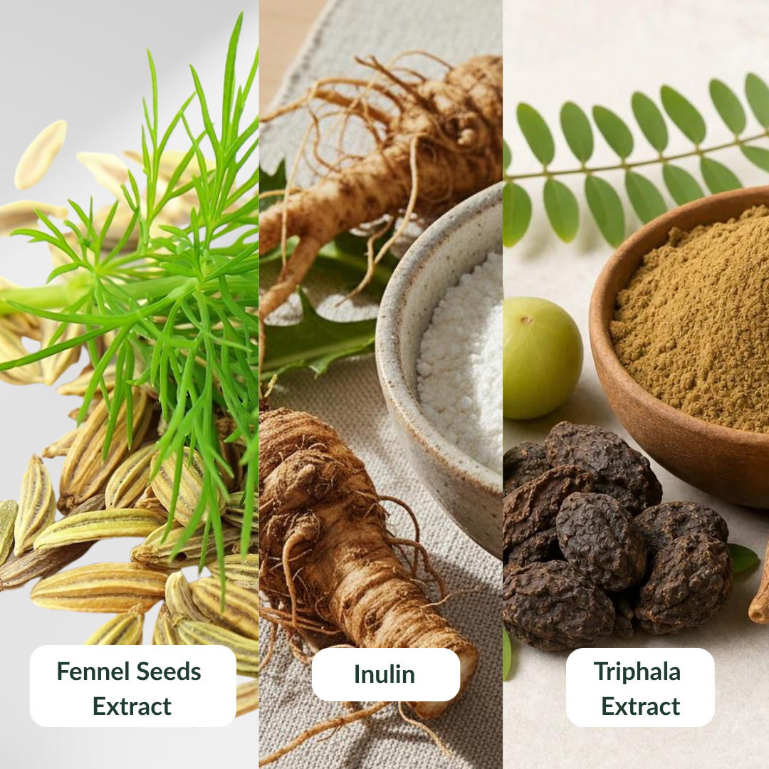 Gut Health Support