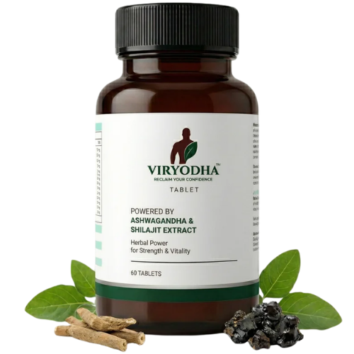 VIRYODHA